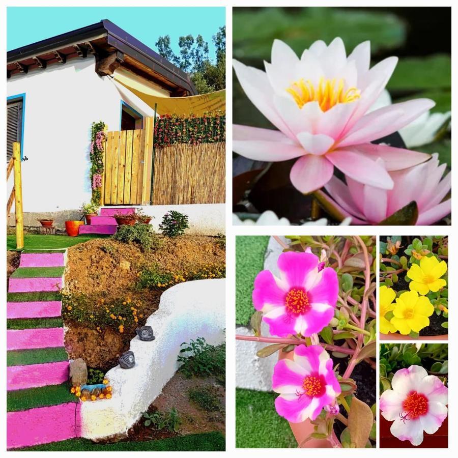 La Conchiglietta Blu Villa คาร์เตดู ภายนอก รูปภาพ